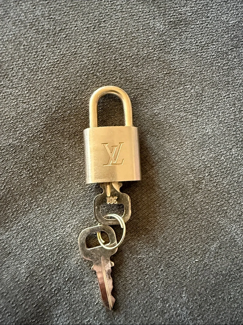 Louis Vuitton authentic louis